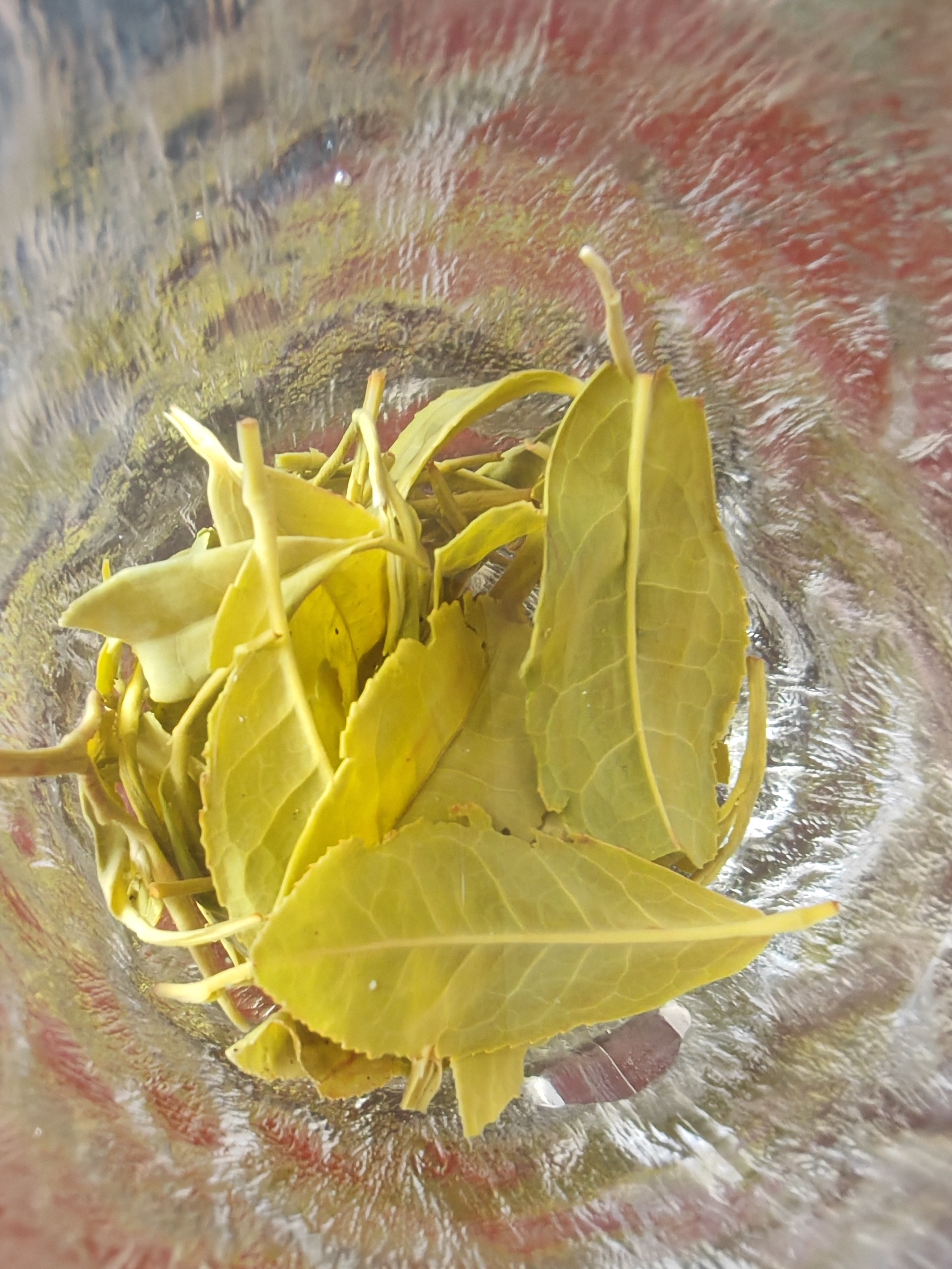 自己种自己炒的茶 