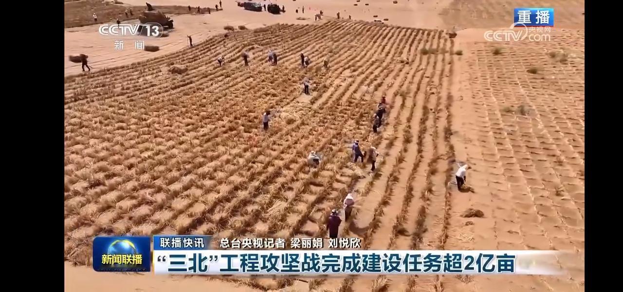 超2亿亩建设任务圆满完成，荒漠化治理取得重大突破！🌱🌱🌱