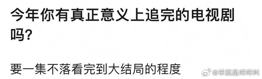 今年你有真正意义上追完的电视剧吗？要一集不落看完到大结局的程度 