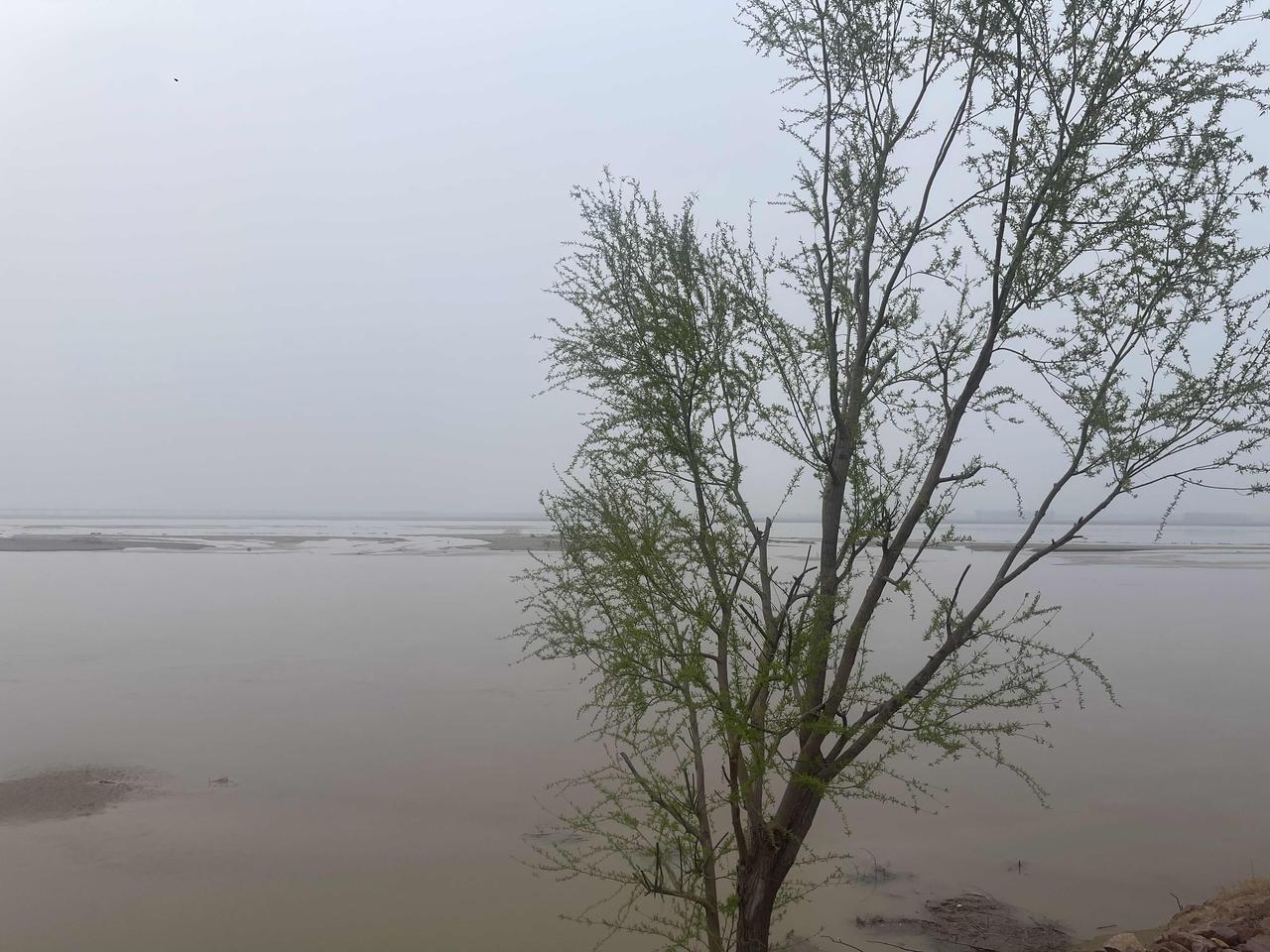 钱塘江上潮信来，而今我已不是我！都说四十不惑为什么我却愈加迷茫？