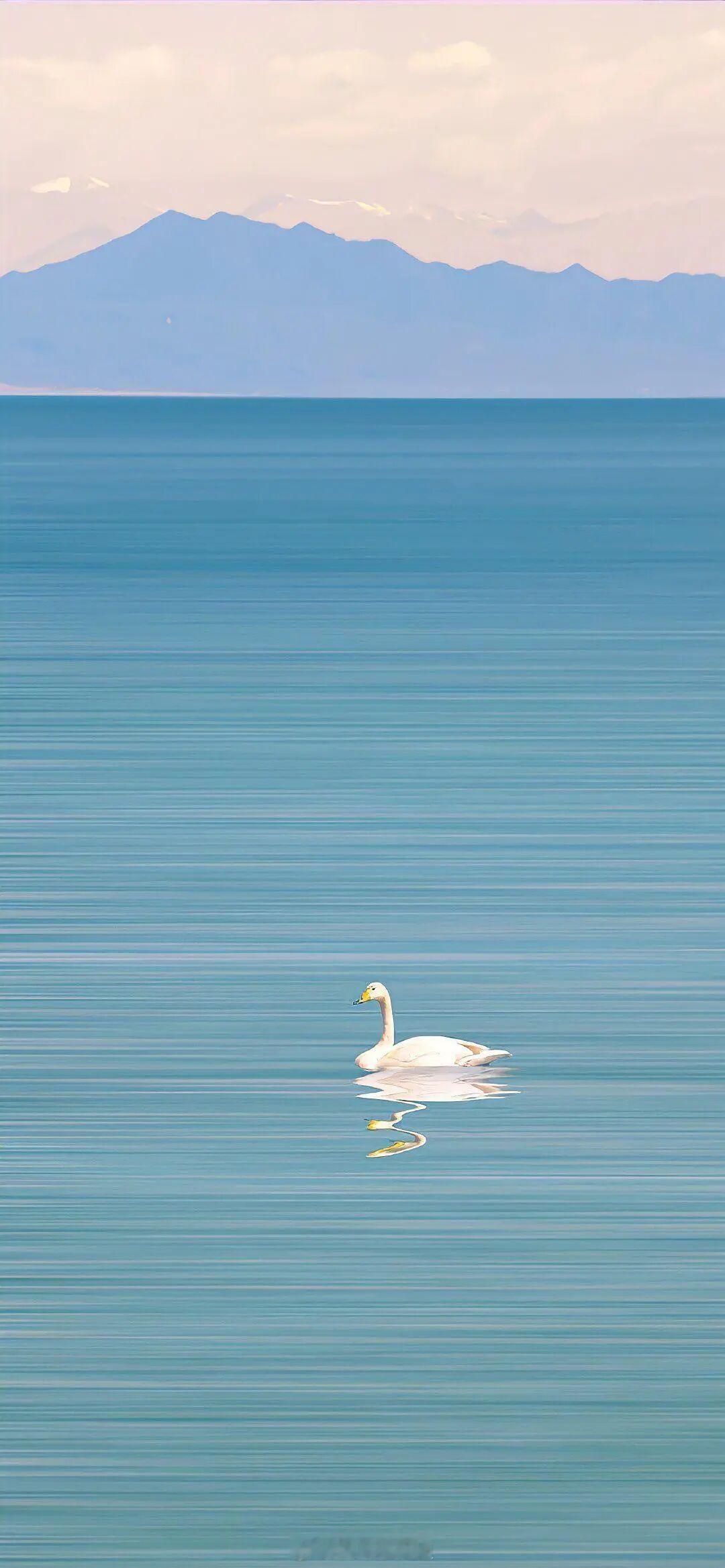“爱情是一场共同的成长，我们终将穿过所有潮湿的夜晚，看雨过山青。”——姑娘别哭《