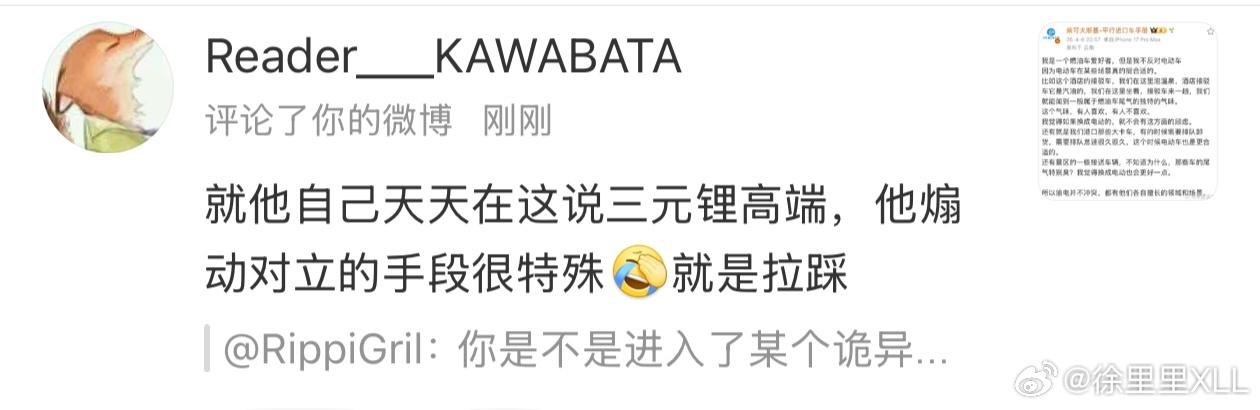 哥白尼和布鲁诺当年说地球围着太阳转，都没有这么冤啊…高端市场都是以三元锂为主这句