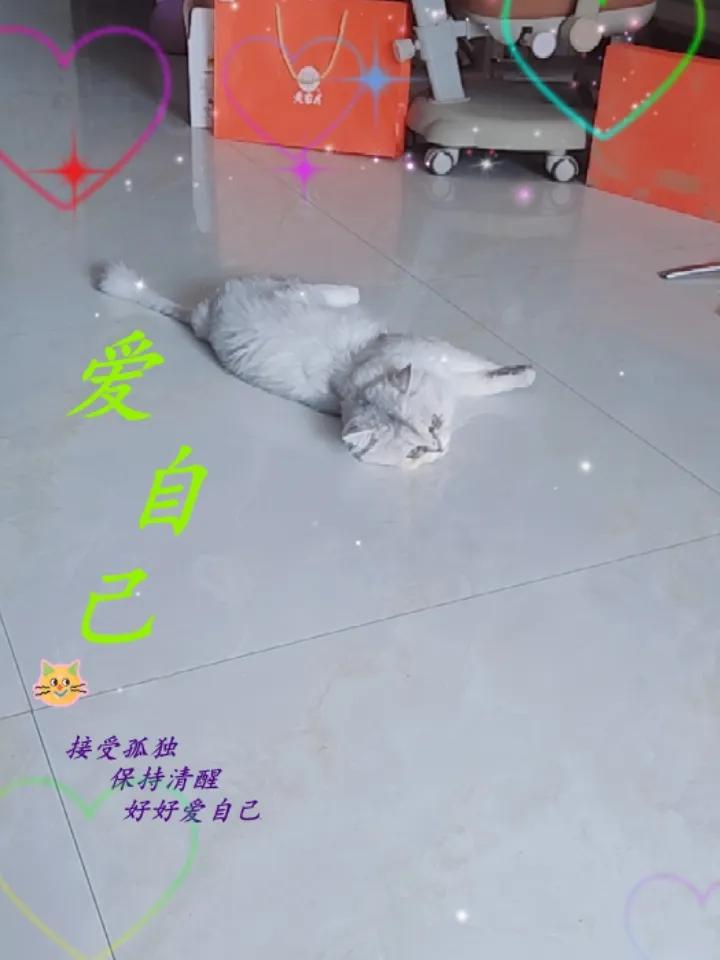 晒图笔记大赛