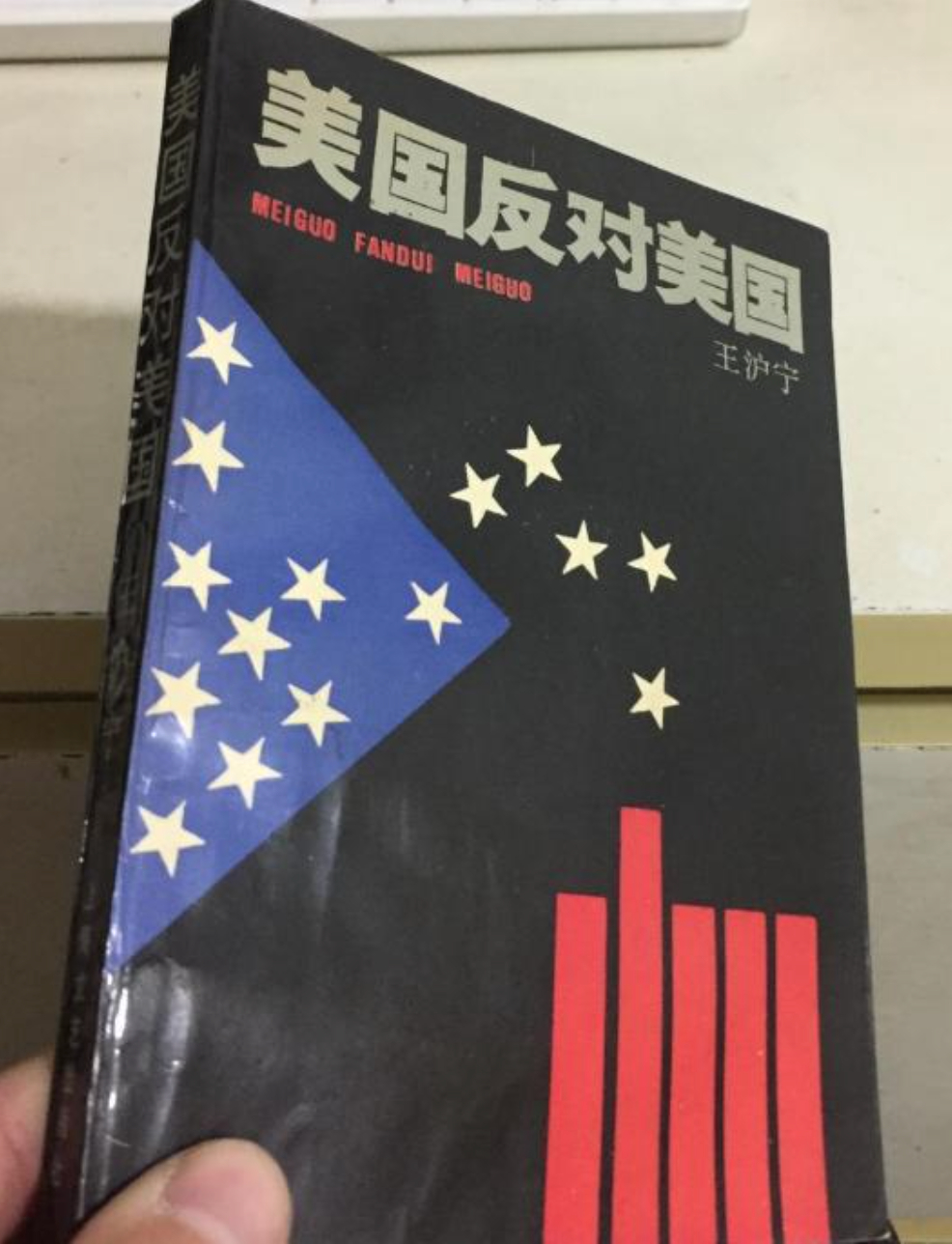 想起来之前看过国师写过一本书，叫做《America Against Americ