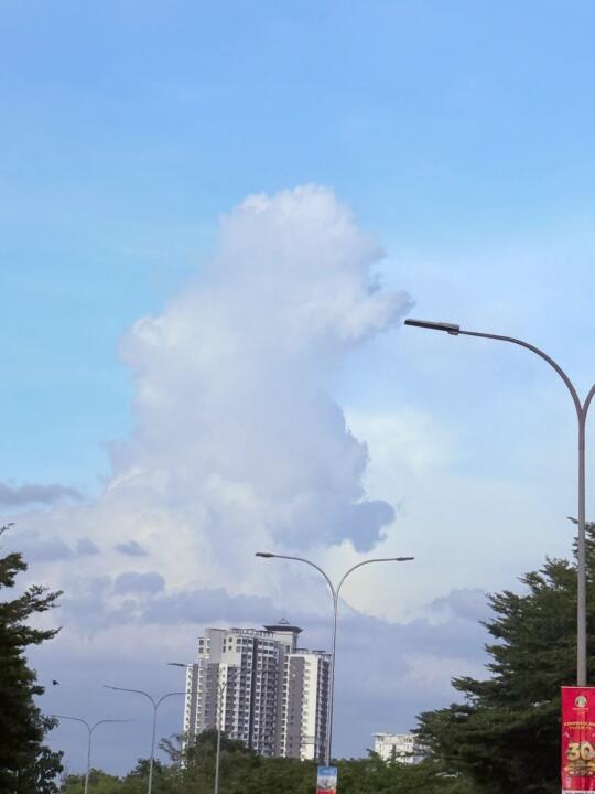 🇲🇾我去😭捕捉天空大可爱‼️狗狗上天啦～