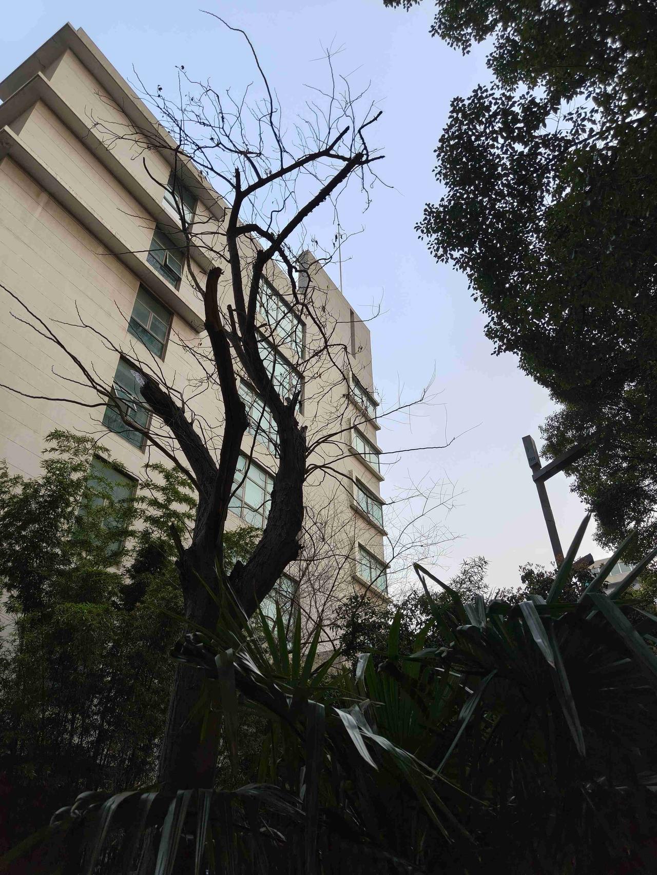 我的今日状态：😎自信酷炫
我这里的天气：🌤️多云