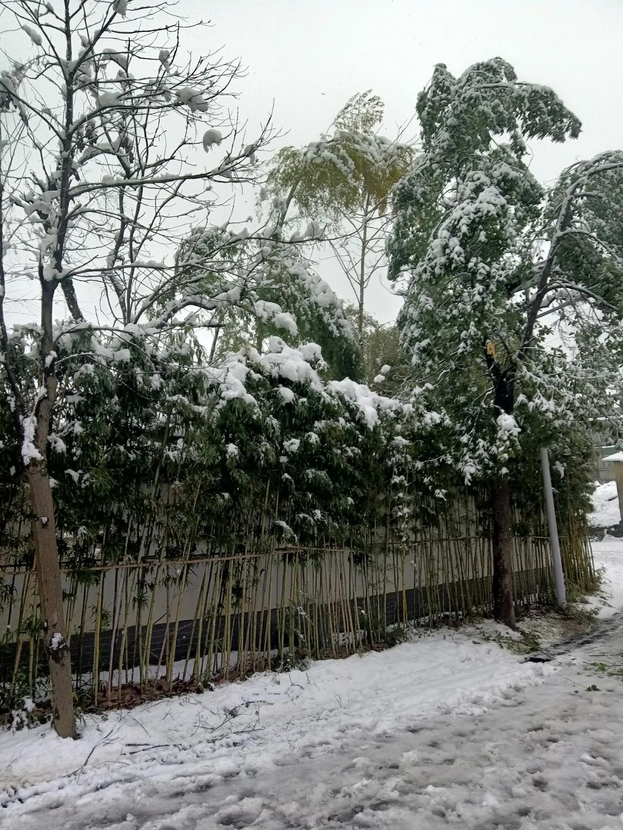 小俗事（38）

在一个宁静的小镇上，有两户人家比邻而居，一边是李家的温馨小屋，