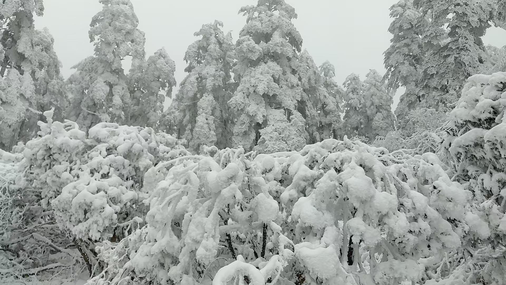 千里冰封，万里雪飘！！！