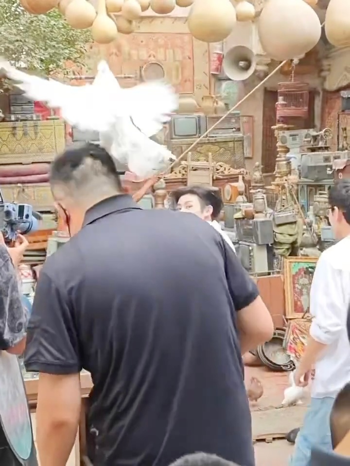 可以的小鸟请尽情在wlk的保镖头上拉屎吧 