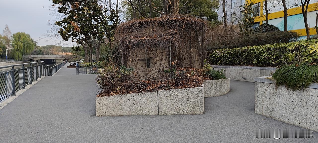 上海大爷心系世界大事
清晨，送完孙子后，我沿着蒲汇塘河漫步回家。
在河岸边，我碰