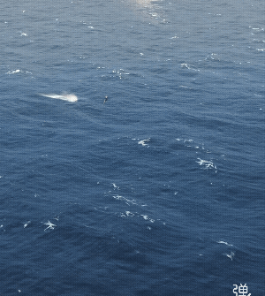 首次看潜水艇发射导弹，为国家强大而点赞！[强]