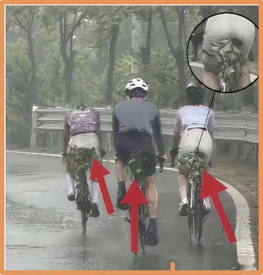 装个挡泥板这车就不能骑了吗？全副装备都买了，就是不买挡泥板，这真挺逗的