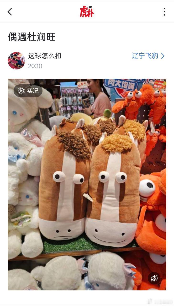 哈哈哈哈哈哈哈 我尼玛。。广东男篮cba