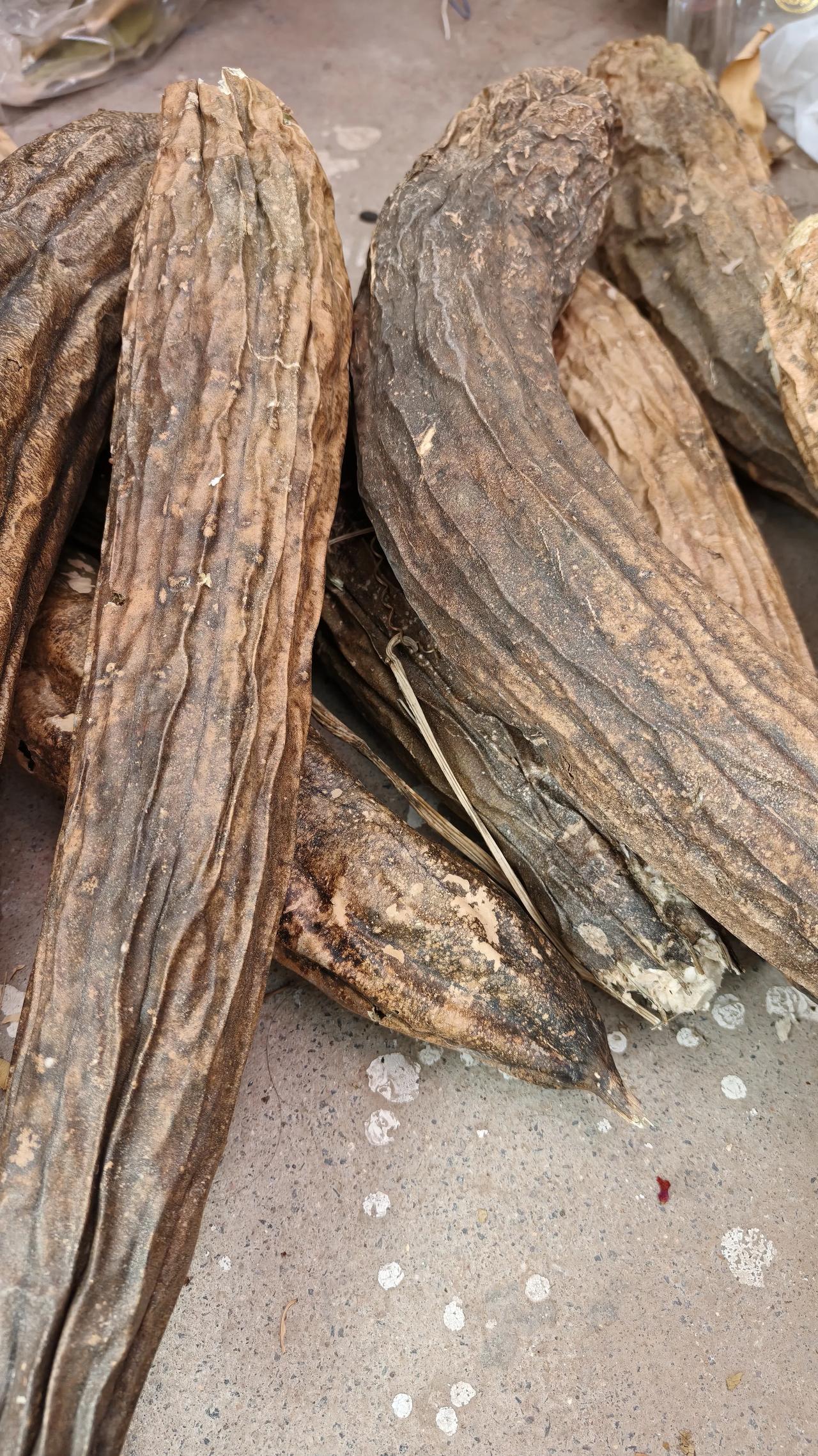 我新发布的内容被官方推荐啦！👍你也快来发布一条吧！带