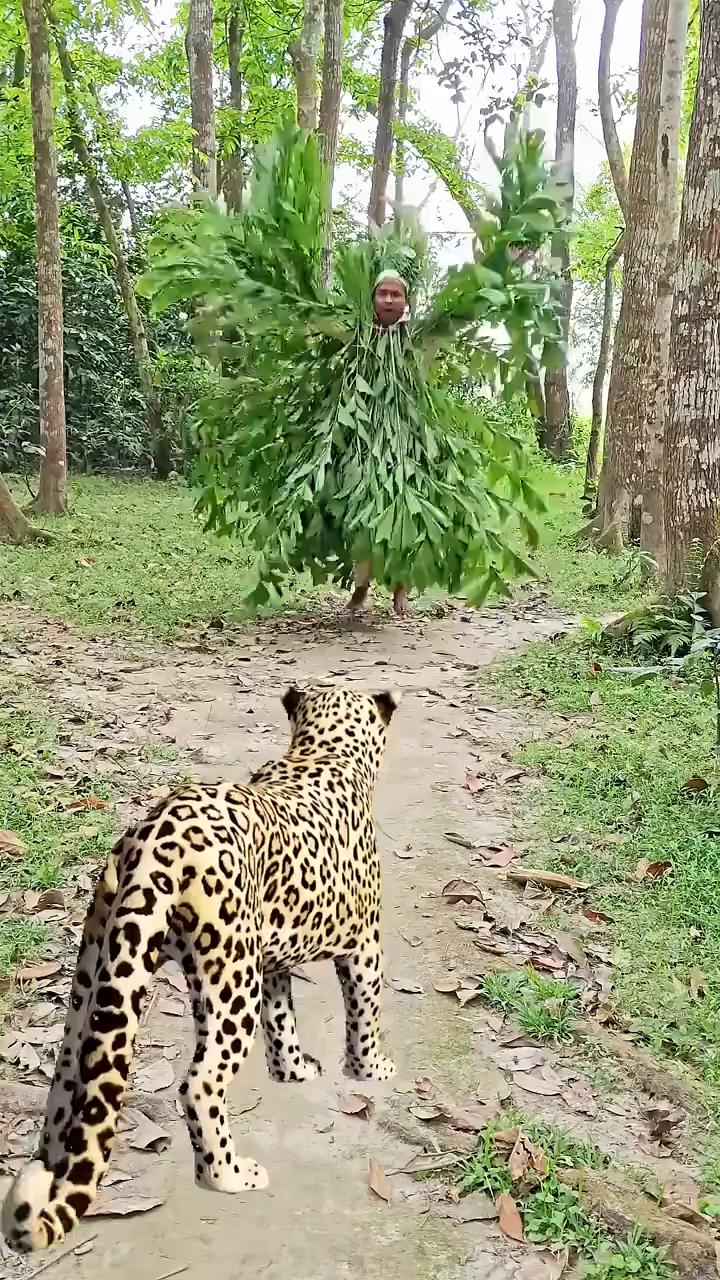 啊，啊，啊，啊，啊，啊，啊，啊，啊，啊，啊，啊，啊，啊，啊，啊。