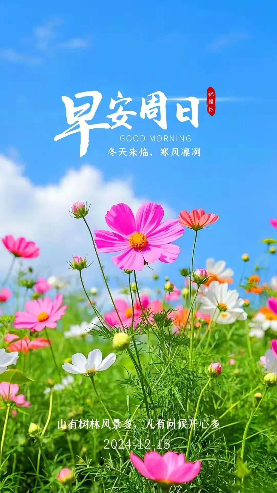 一>
上联:高山不语拥千树
下联:明月无声照万家
横批:庸人自扰言无绪
——:贤