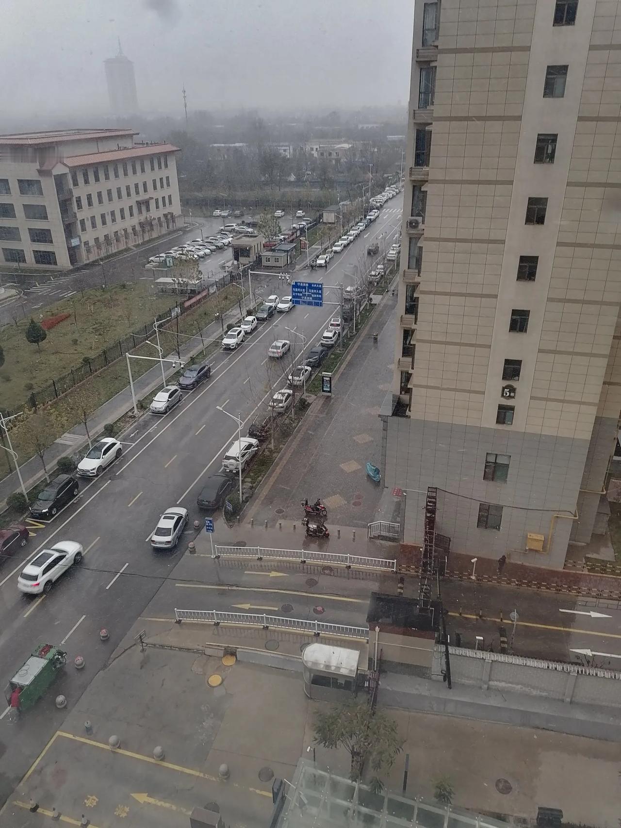 卜算子
瑞雪
天阴雾色茫，
大雪纷纷扬。
树叶枯黄叶飞舞，
瑞雪兆丰年。
初冬天