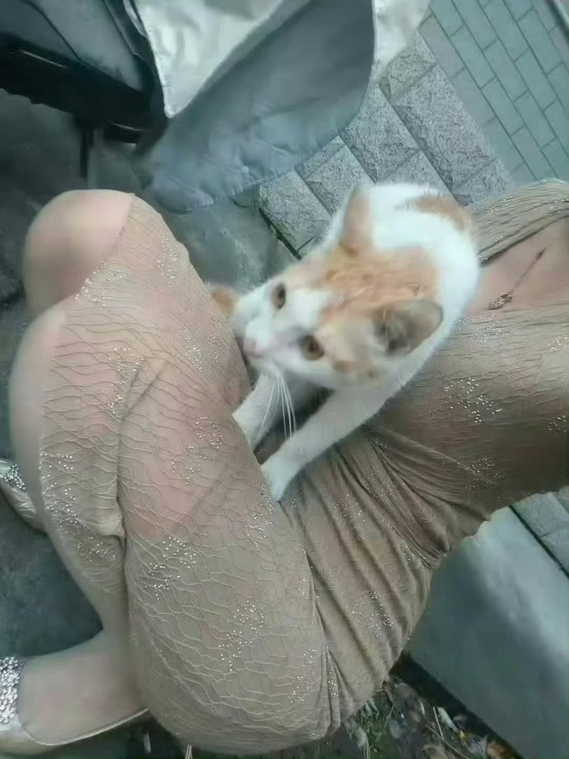 做你一天女朋友你会干嘛？ 