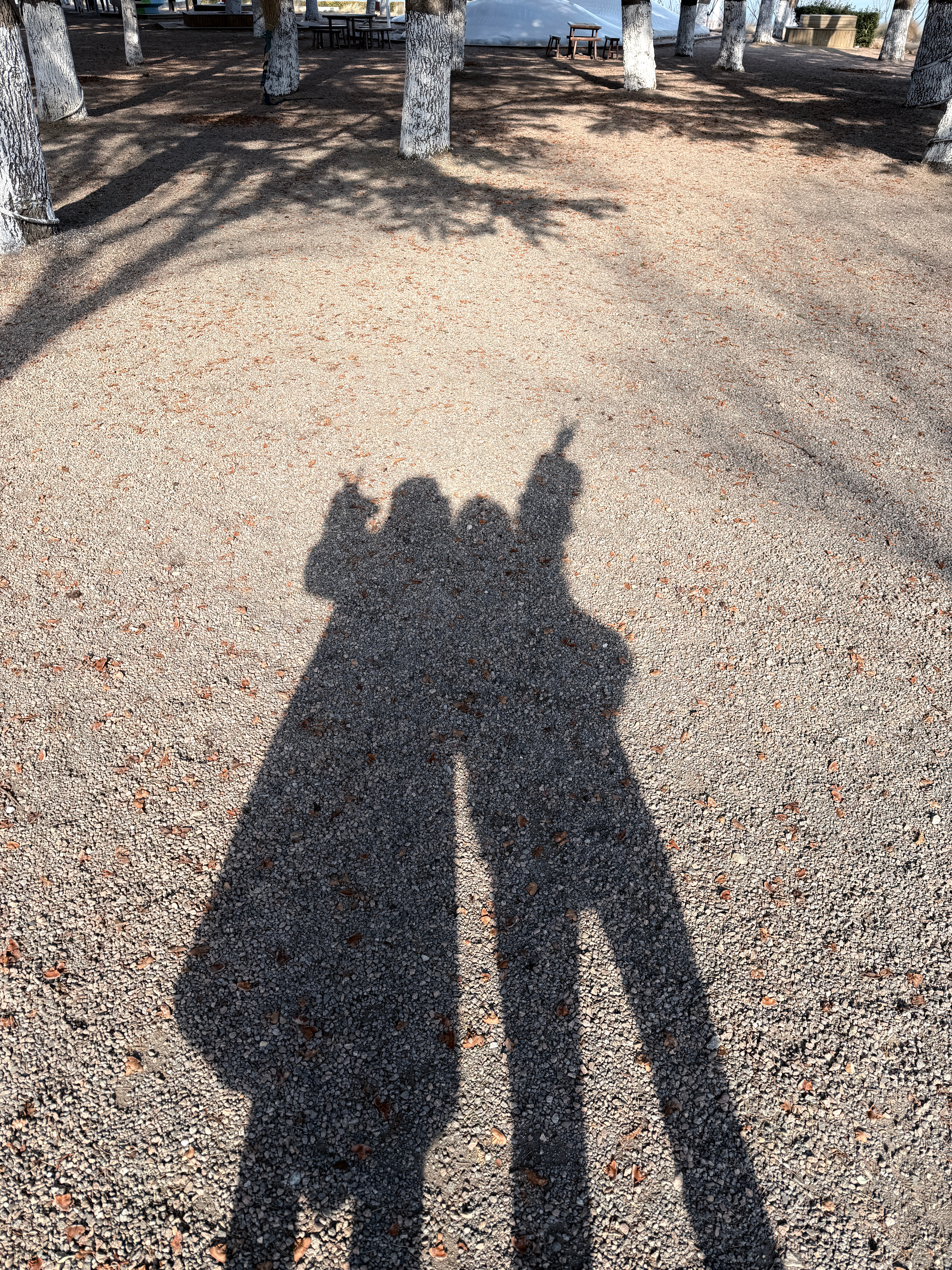 和小姐妹过情人节💌  