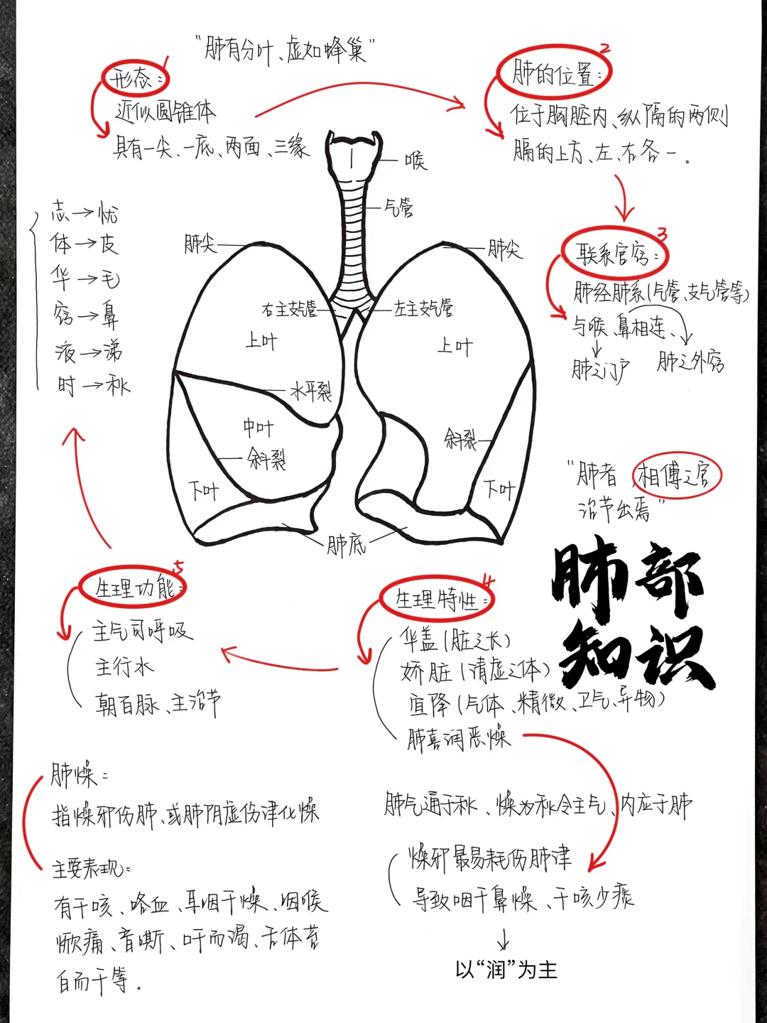 真后悔没有早点跟着老中医学食养😭