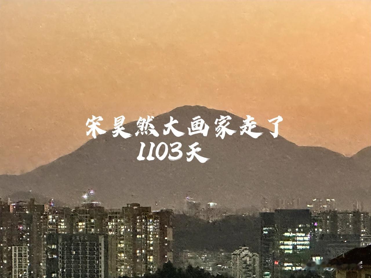 （1103）：一位网友说：“孩子的离去，让你找到了正确的人生价值（观）。”宋昊然