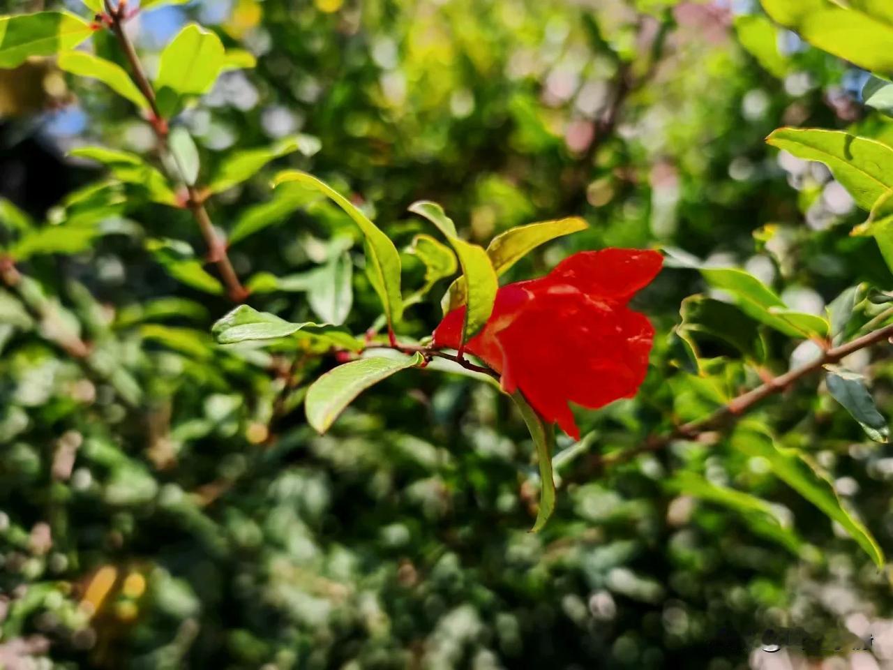 生活敷衍你，是从你敷衍自己开始的，你不辜负生活，生活才不会辜负你。只有走完必须走