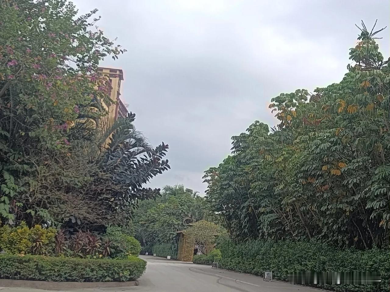 新的一天开始了，可爱的鸟儿在树技上唱着欢乐的歌曲，太阳羞涩地露出了半边脸，风儿温