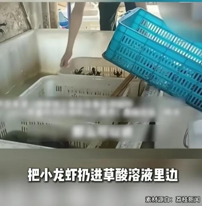 拿草酸洗龙虾这事儿，又一次颠覆了我的认知。
反正我也不吃，不买。但是看起来实在是