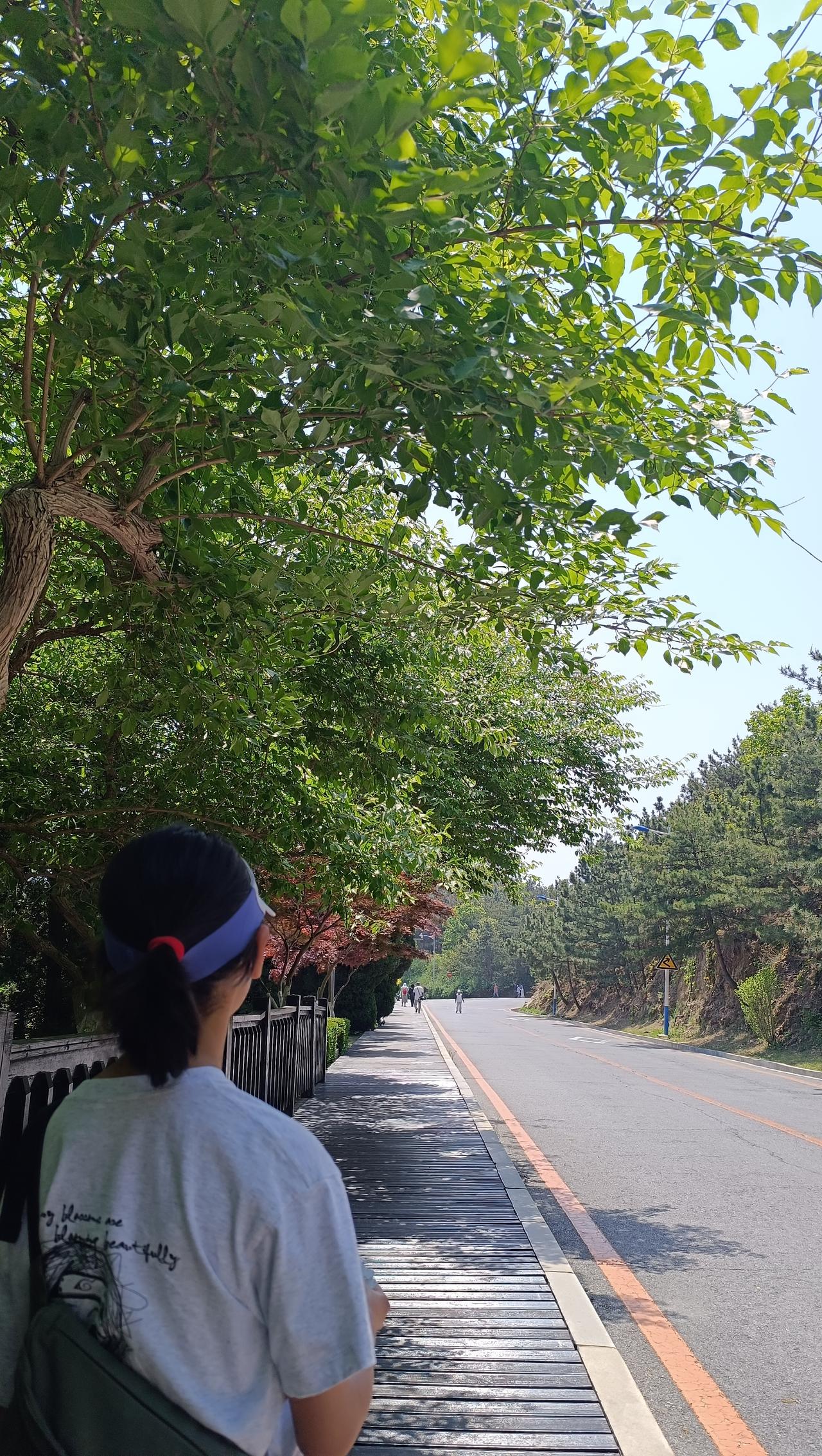 尽管滨海北路在所有滨海路里算短的(最短的是滨海西路，见我4月30日和5月4日的微