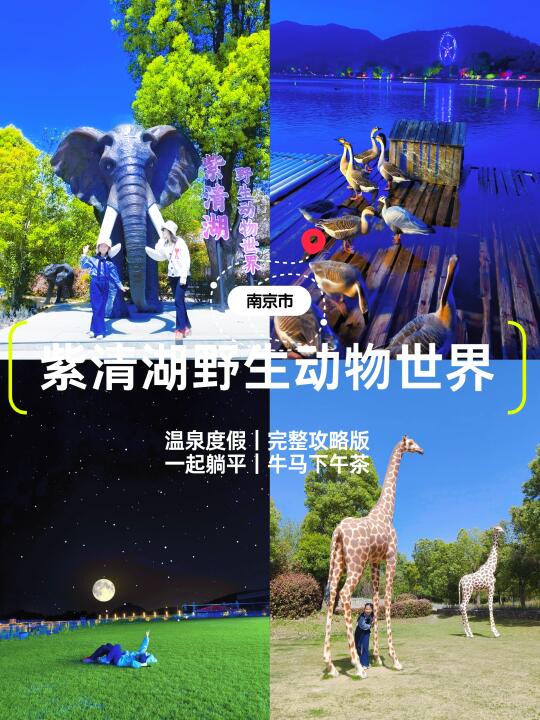 蕞新保姆攻略｜N刷紫清湖野生动物世界🦒