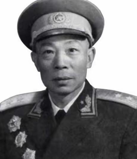 1949年，清剿湖南6万残匪的军长杨梅生路过小镇，见一乞丐老太酷似亡母，派警卫去