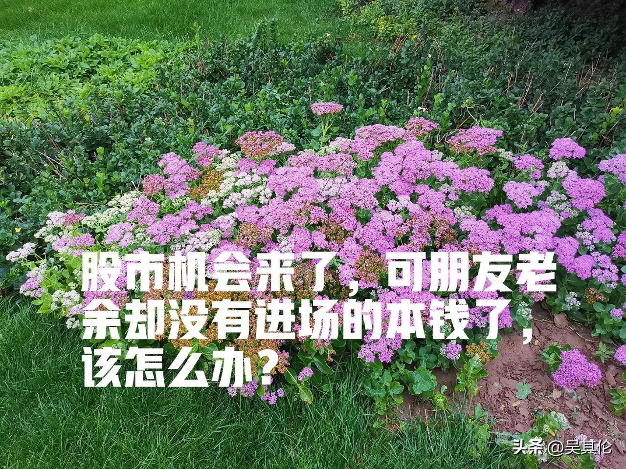 中午，朋友老余来我办公室喝茶，谈及股市，我说，老余，这阵子行情很好，你应该不错吧