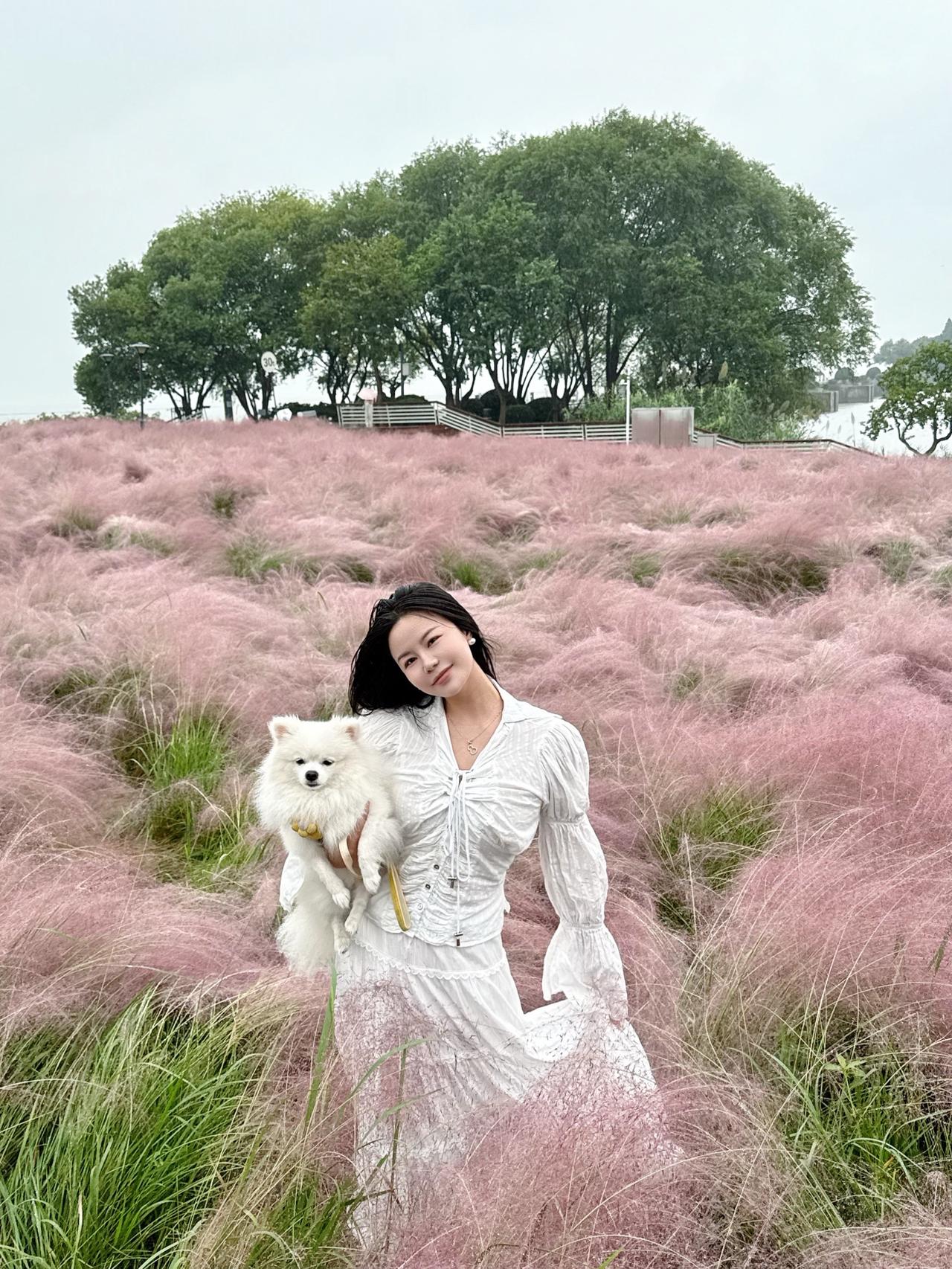 “开心的话，日子不算虚度”摄影 花海 温柔穿搭分享 今日分享 簡约穿搭 @抖音小