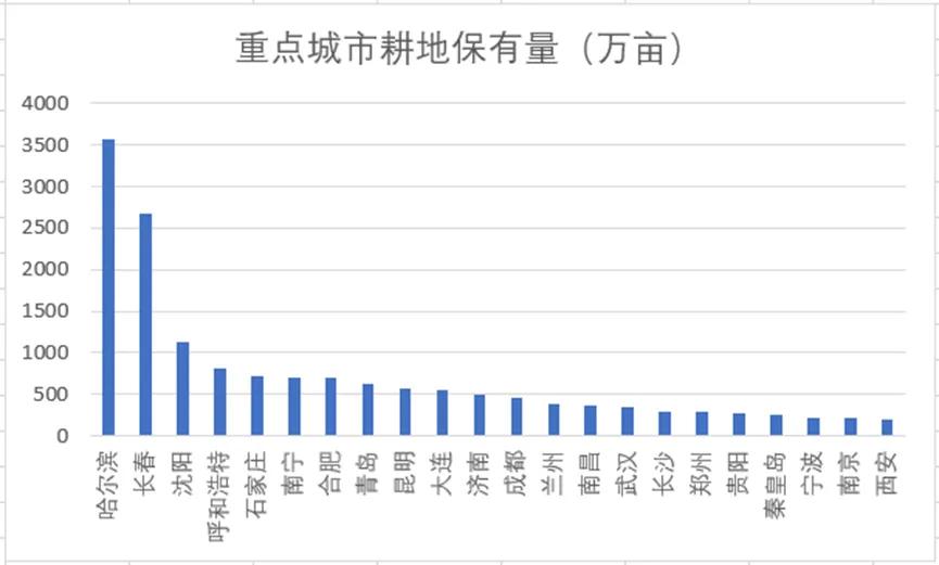 重点城市耕地保有量