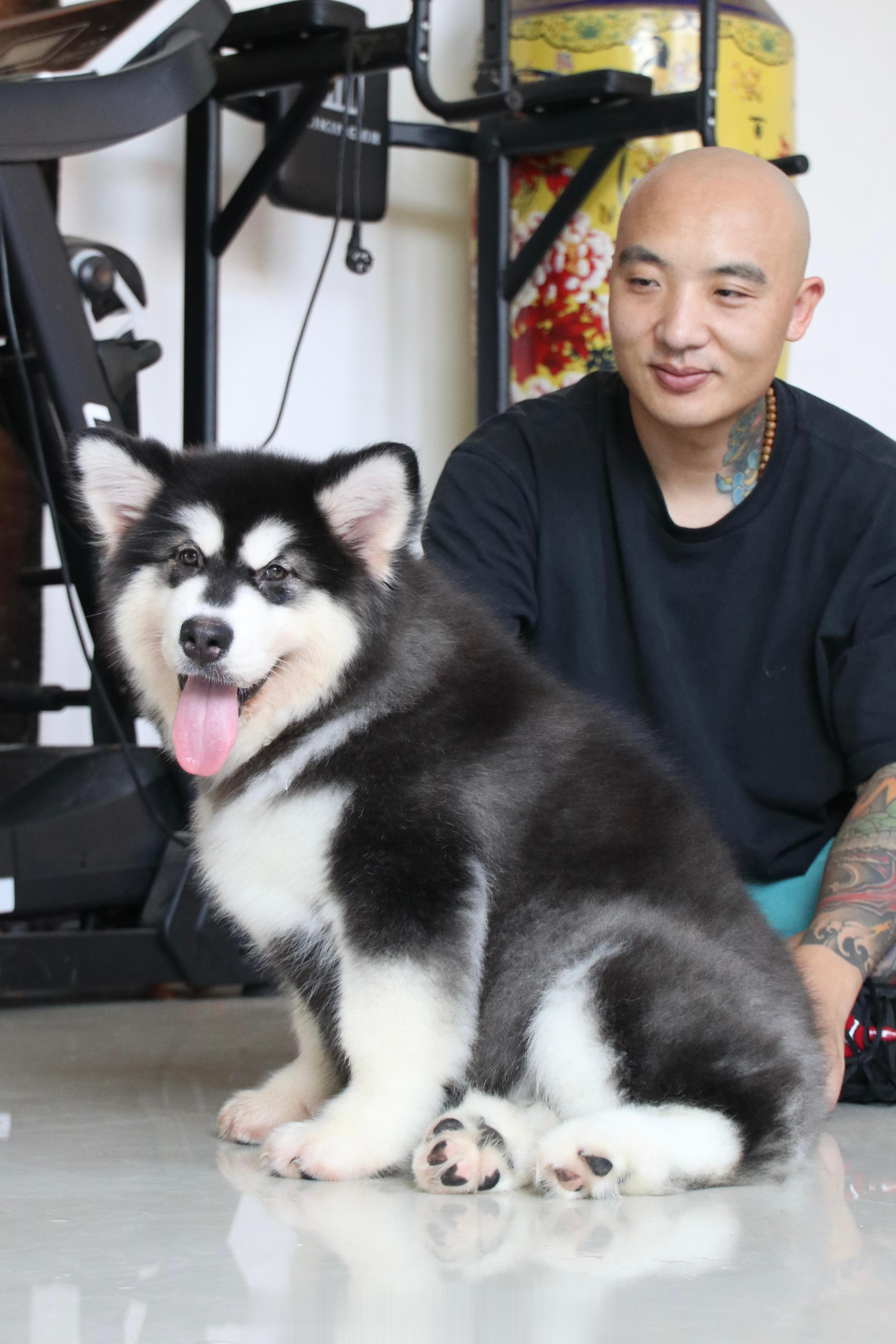 双血统一只阿拉斯加妹妹 [羞嗒嗒][羞嗒嗒] ​​​