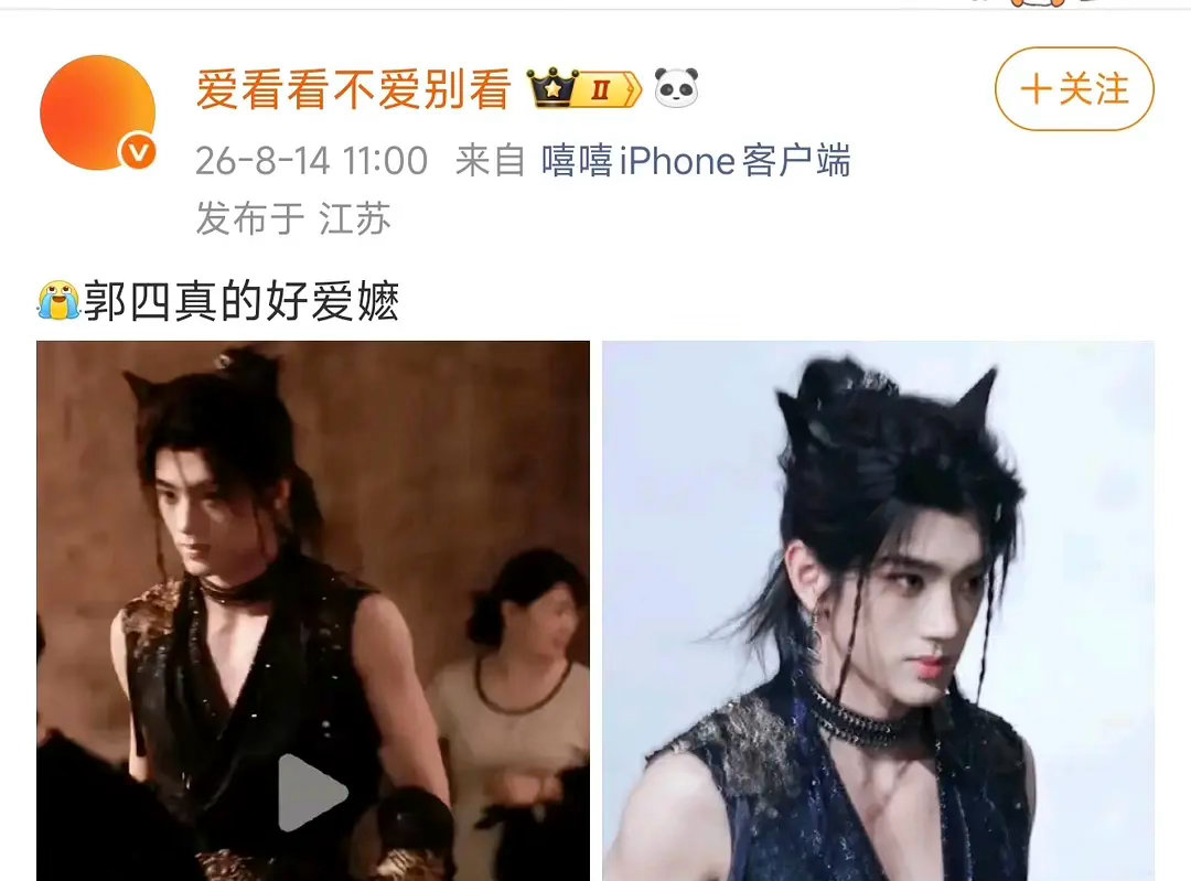 一旦接受郭小4是吉娃娃攻的设定 
