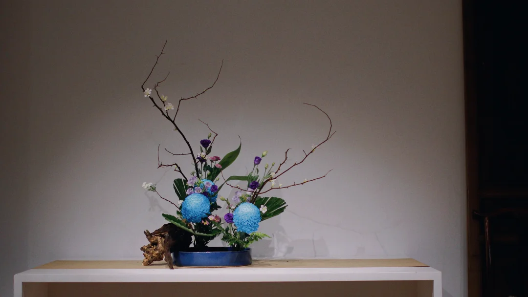 万物生长 不负春光