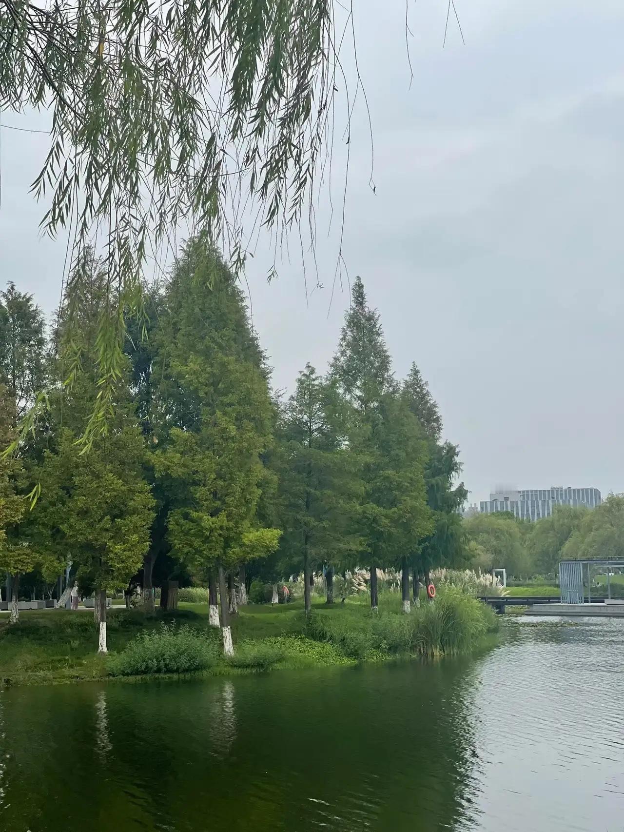 45岁表妹离婚后开挂！老公出轨她转身年赚30万，这操作太飒了

“表妹狠起来太可