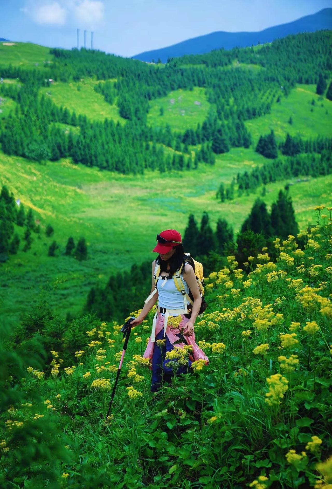 广州周末直达｜“阿勒泰”同款美景。谁懂啊！一直以为治愈的高山草甸、森系湖泊只存在