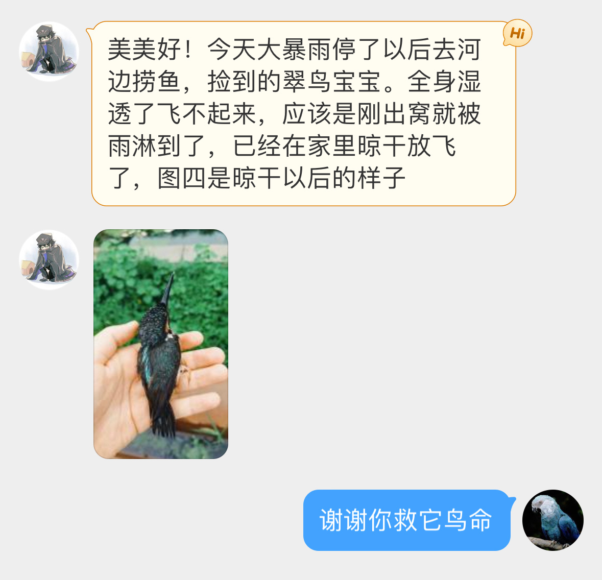 #鸟粉投稿# 捞鱼的时候捡到一只翠鸟估计被暴雨淋的，羽毛晾干后放飞啦（还吃上了小