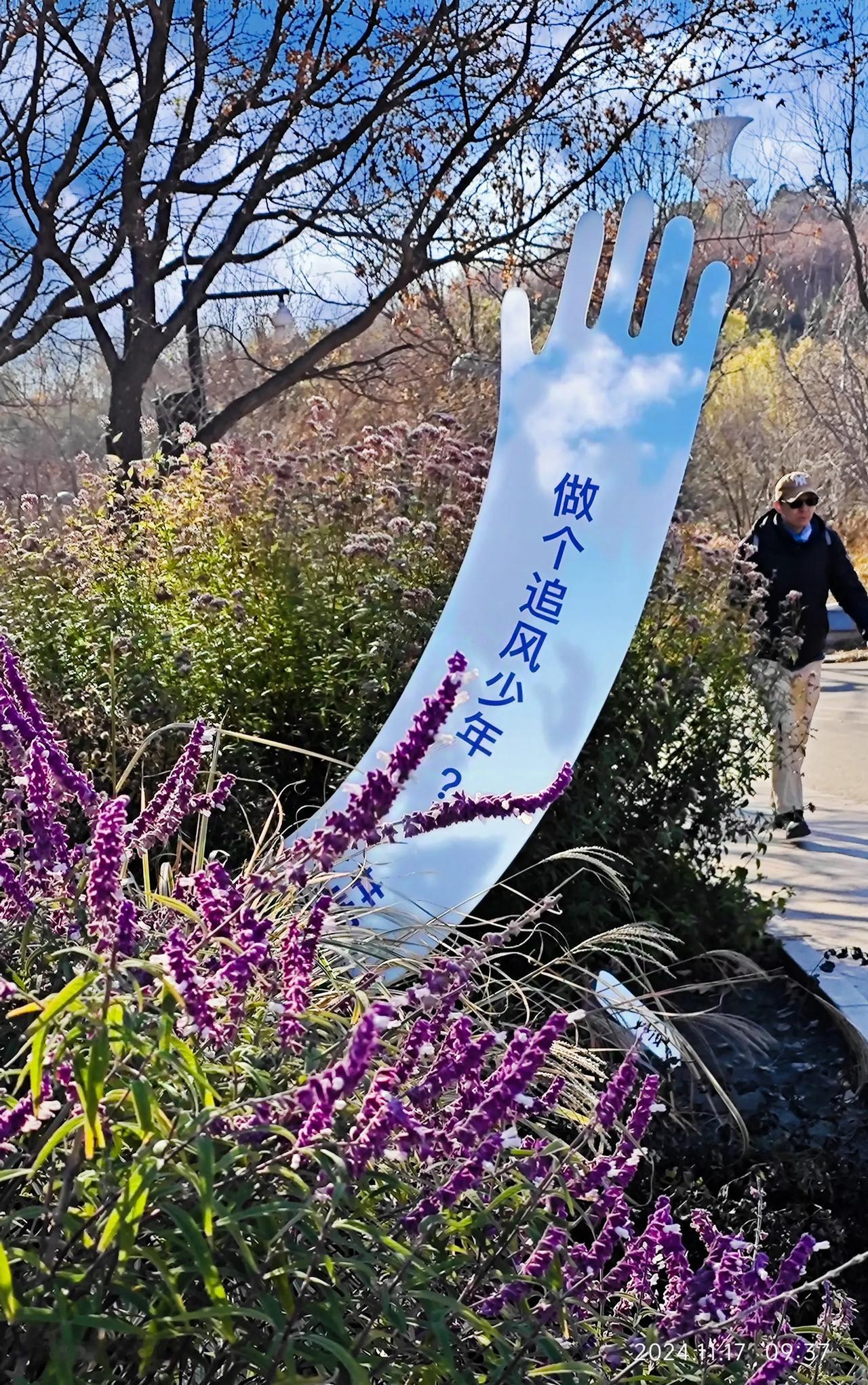 奥林匹克森林公园初冬风景随手拍（1）