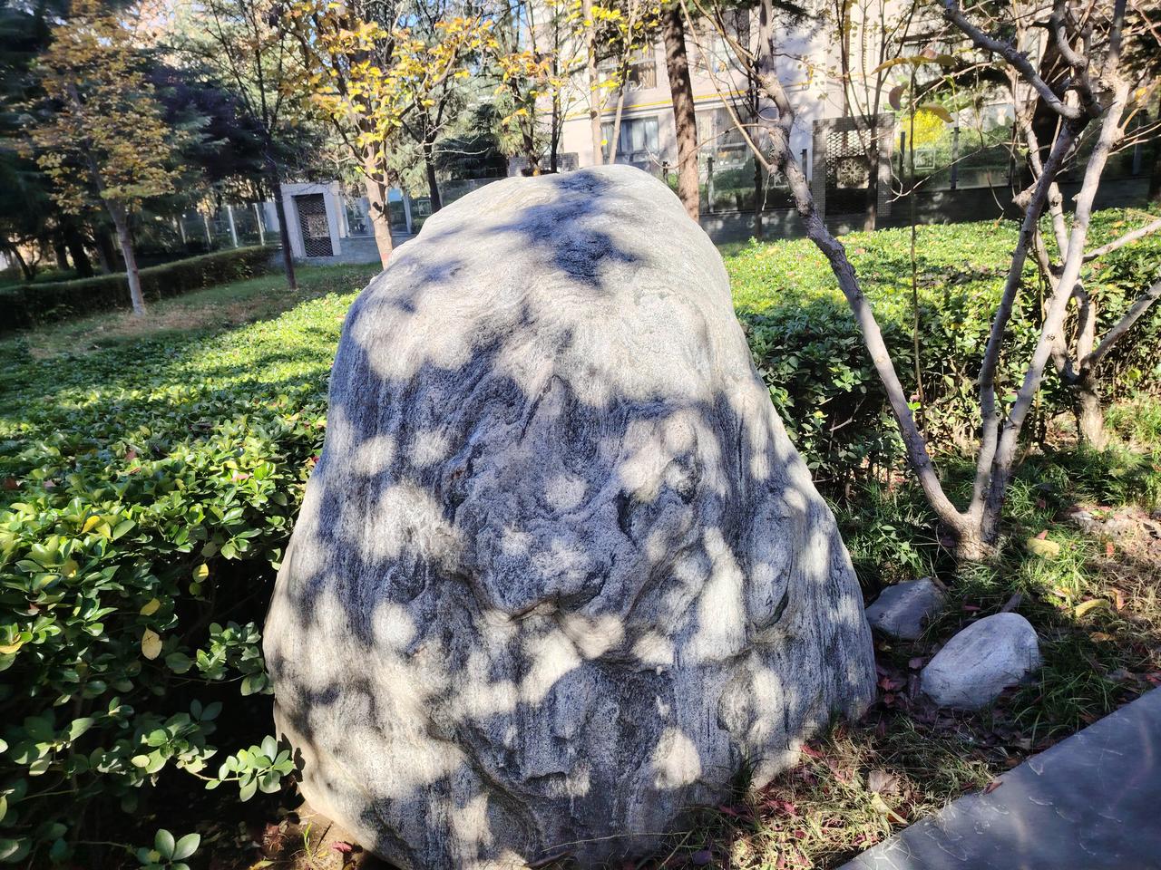 体育老师教语文，有网友评论：“我曾做过一项调查，在所有中学老师中，读书最少的是语