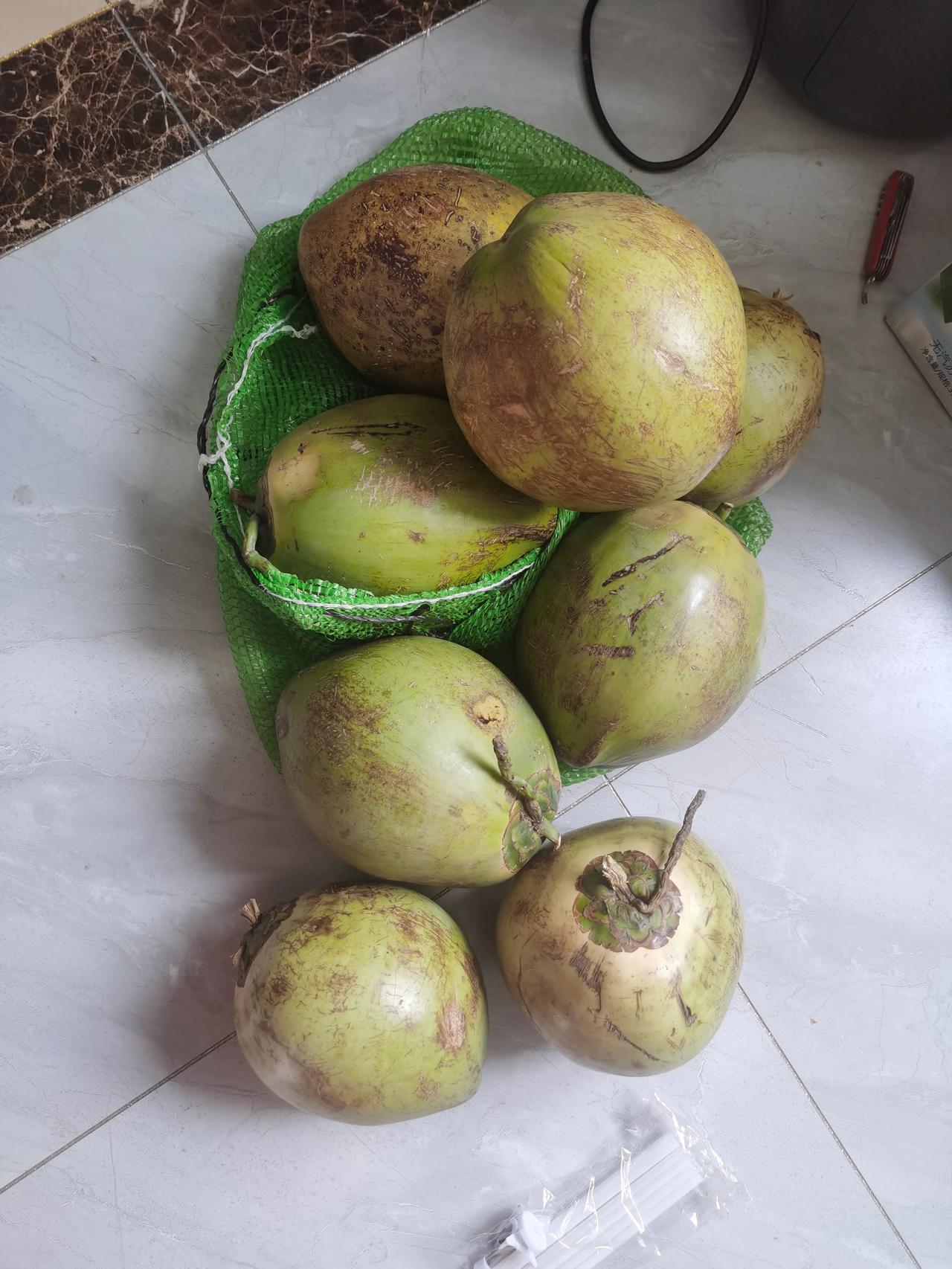 听说喝椰子水能净化羊水，老公同事从海南带过来的椰子🥥，真是感谢啦