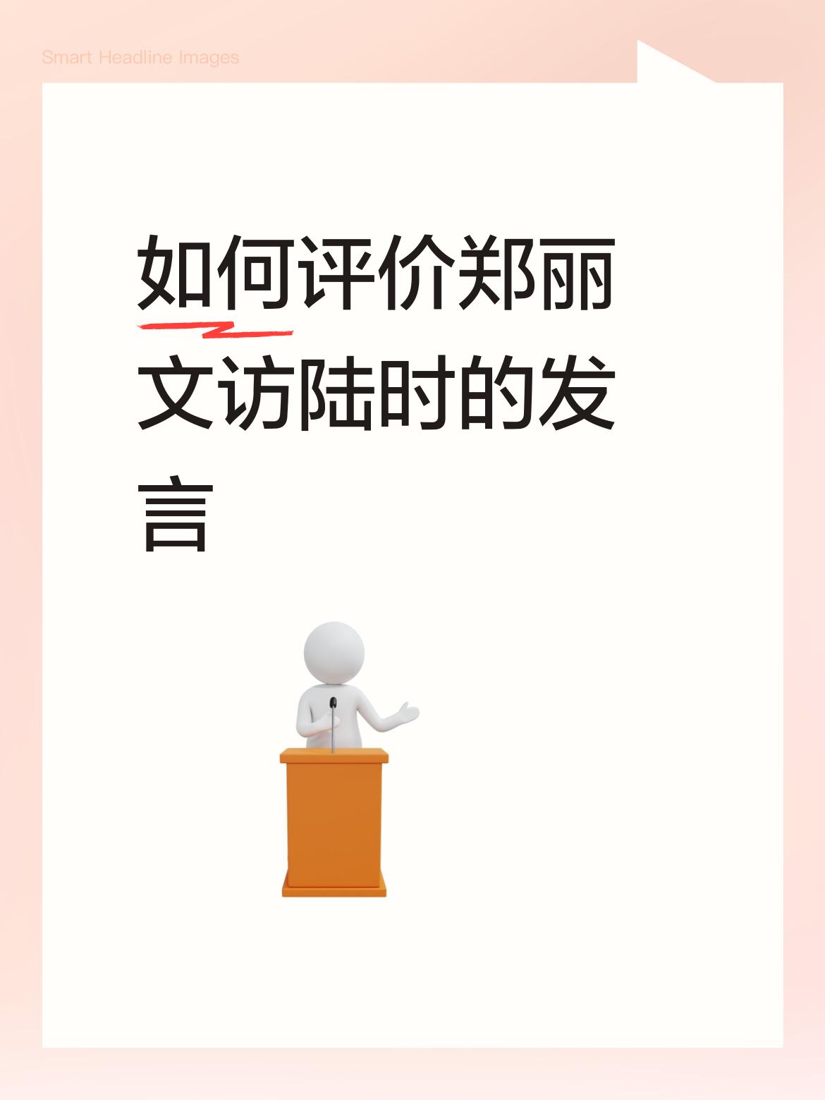 如何评价郑丽文访陆时的发言