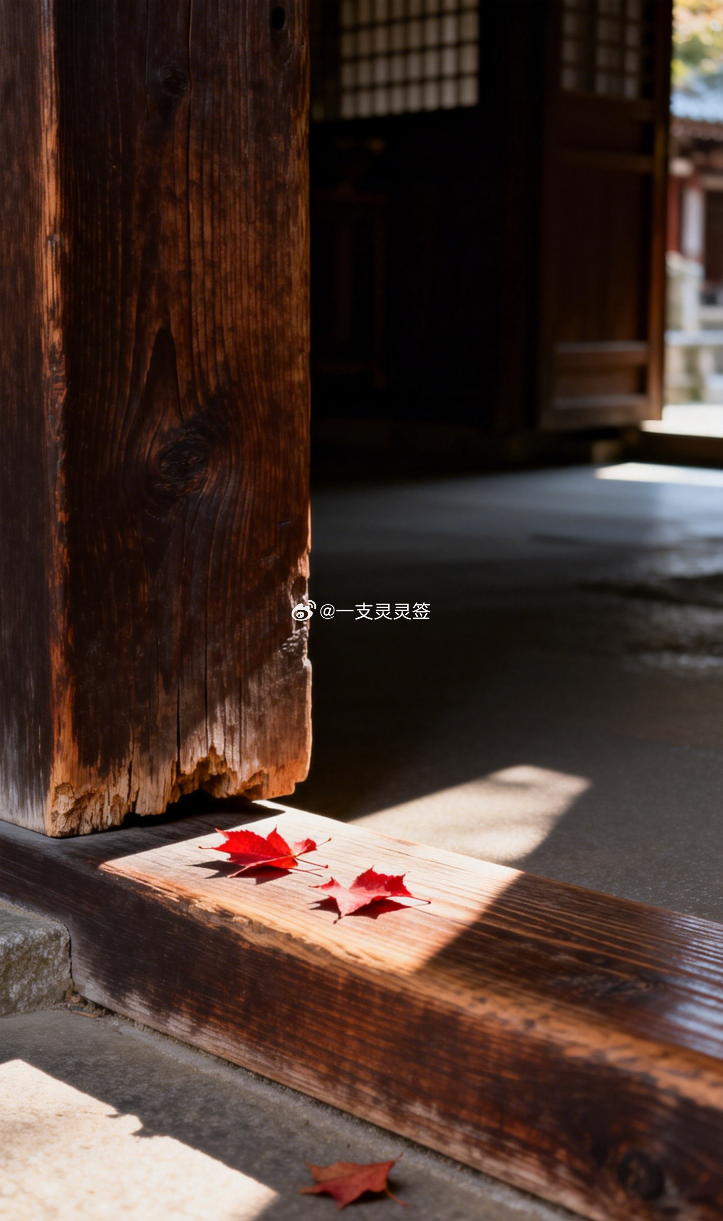 人走进寺观时，常会不自觉地把声音放轻，哪怕没有人提醒。门槛内外不过一步，语气和脚