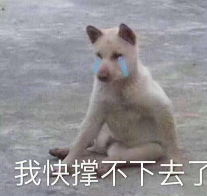 盘点那些很实用的表情包。