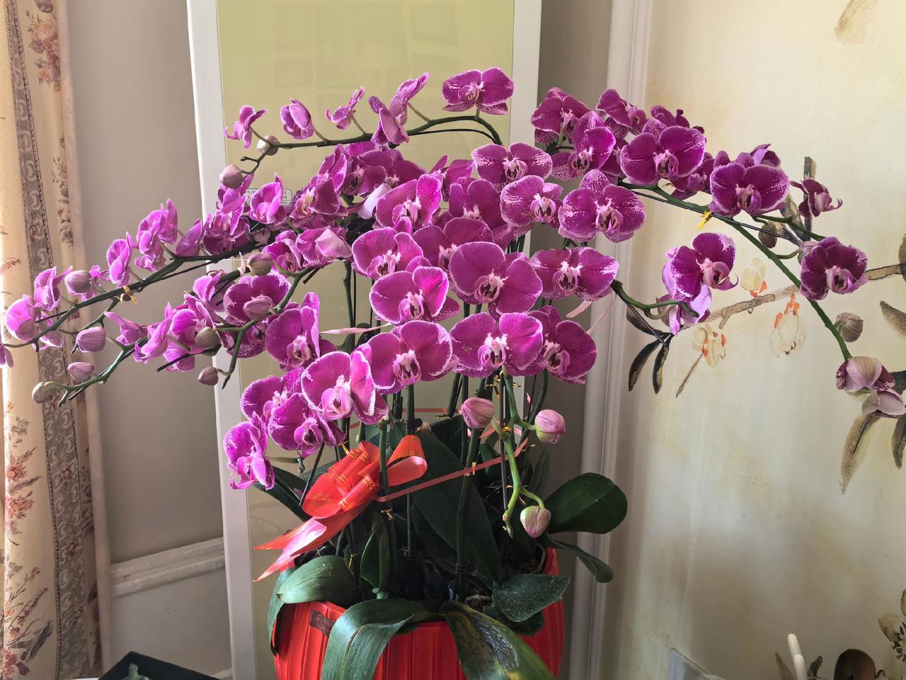 春天
充满了
希望
和春天的花花合个影吧 
春天当然要拍花啦