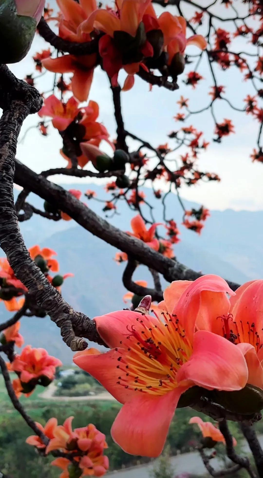 自驾旅行记录停在半山腰的车，车轮边蹭了点泥，远处的山雾像没拧干的毛巾，滴滴答答往