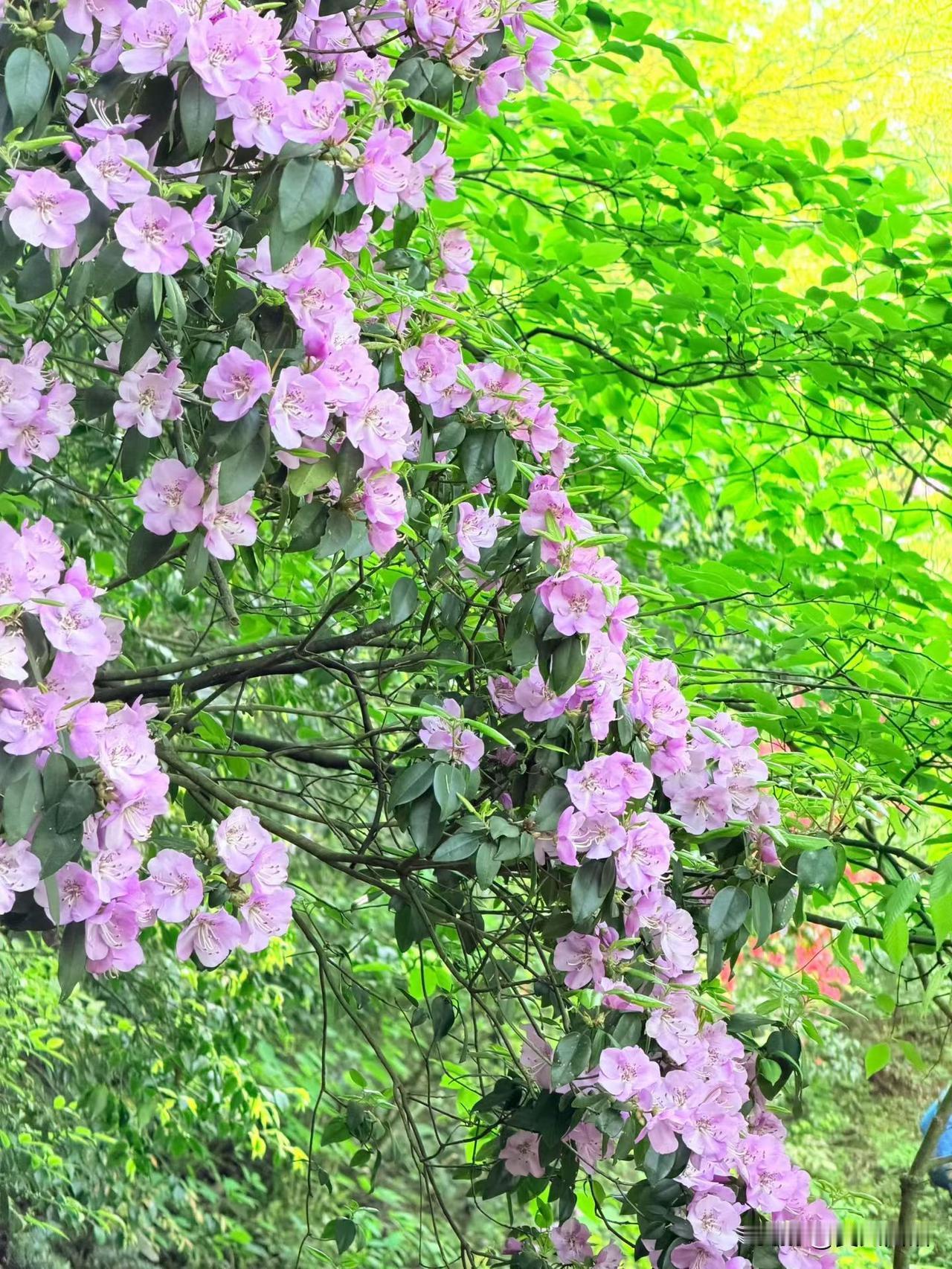 如何判断一个人的事业能做多大？从道的角度，这里有一个小技巧，就看你能融入多少人？