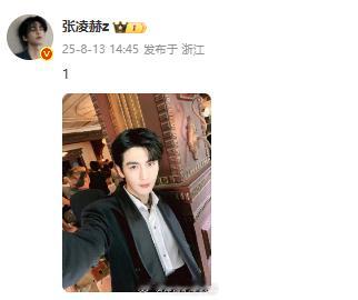 张凌赫二少自拍张凌赫在1什么 好帅啊我们二少！但是这个文案在1什么[流鼻血] ​